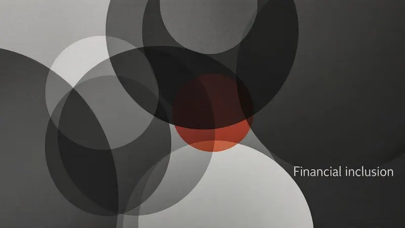 Financial Inclusion / Financial Literacy — Common problems researchers identify