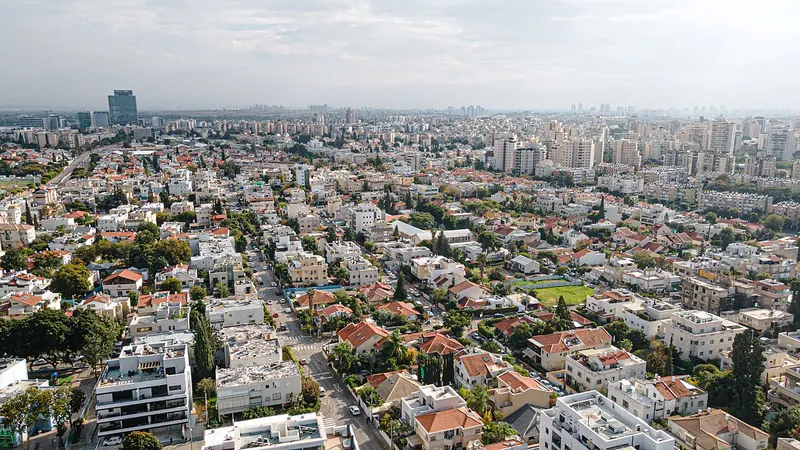 Holon
