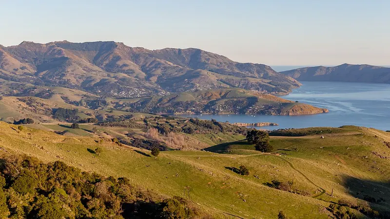 Christchurch skyline — Consumer Goods hub in New Zealand