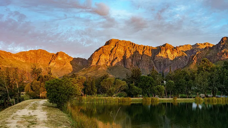 Paarl skyline — Consumer Goods hub in South Africa
