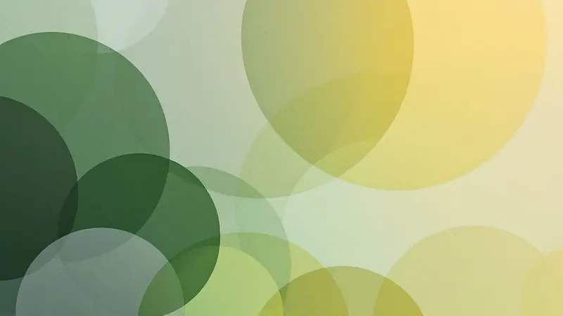 E-Commerce SaaS — a E-commerce Software sub-vertical