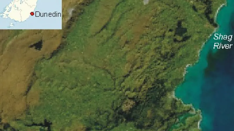 Dunedin