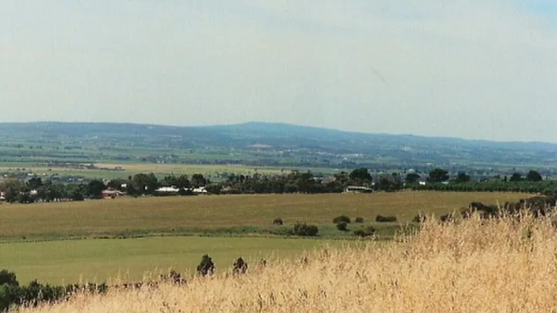 Mclaren Vale skyline — Food and Agriculture hub in Australia