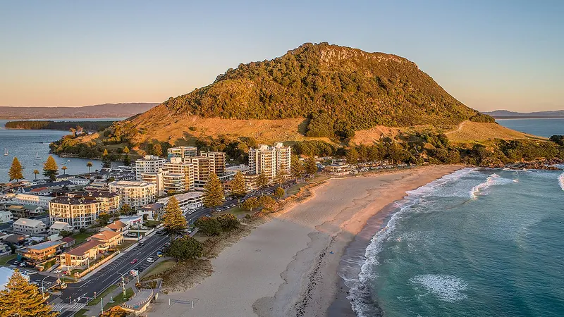 Tauranga skyline — Food and Agriculture hub in New Zealand