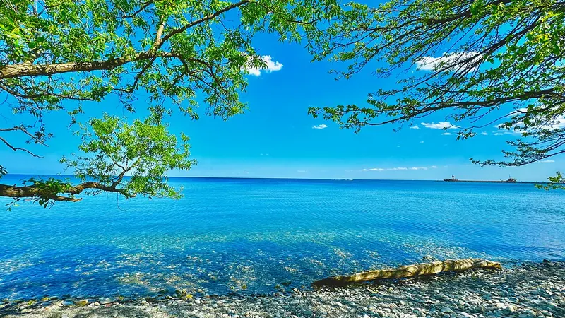 Mississauga