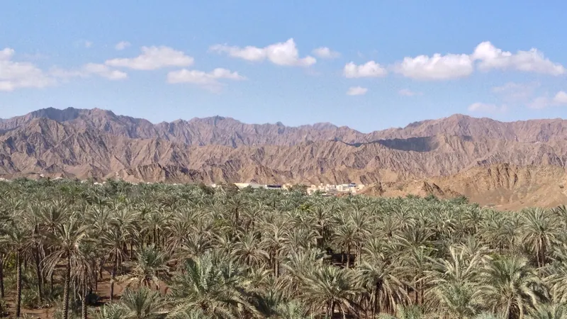 Fujairah skyline — Retail hub in the United Arab Emirates