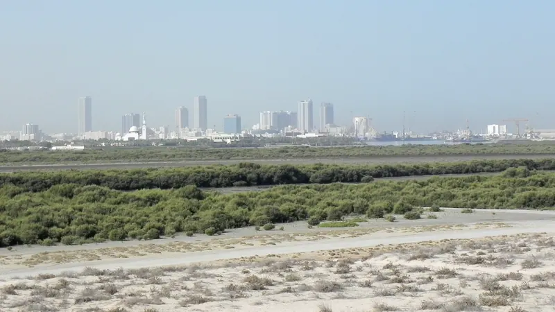 Umm Al Quwain skyline — Retail hub in the United Arab Emirates