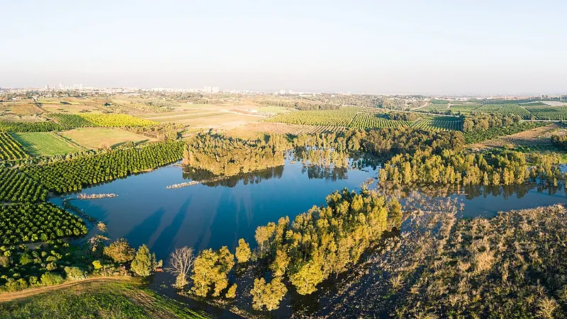 Rehovot