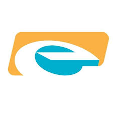Electronica Mechatronic Systems logo
