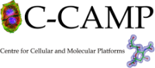 C-CAMP logo