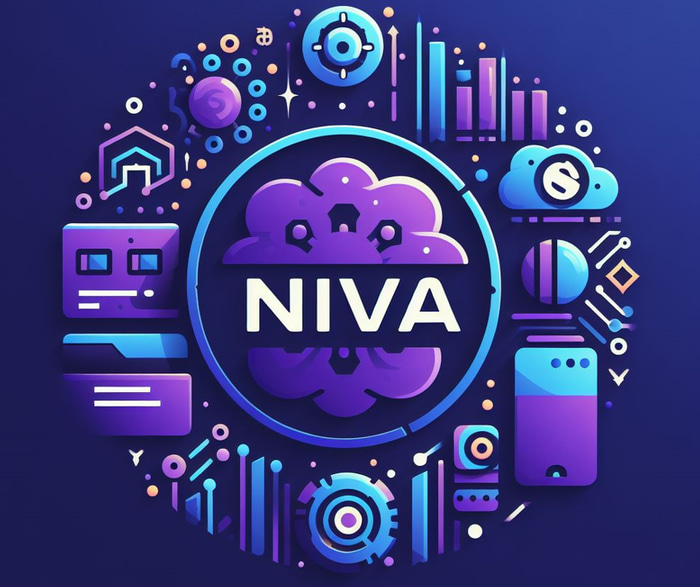 Niva Money logo