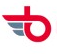 EtherWing logo