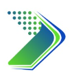 Navirego logo