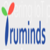 Truminds logo