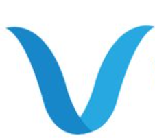 Vivifi India Finance logo