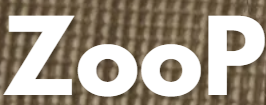 Zoop logo