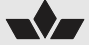 Barcelona Club logo