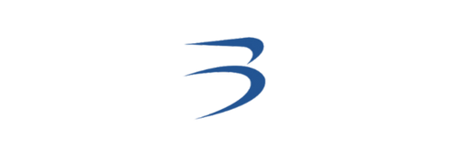 Bozarro logo