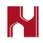 Noorveer logo