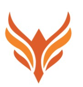 Dumadu Studios logo