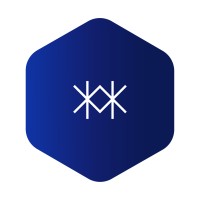 Blue Hex Software logo