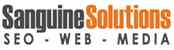 sanguine it solutions india logo