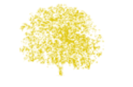 Laburnum Capital logo