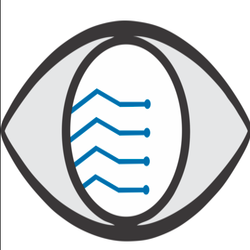 PupilMesh logo