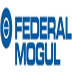Federal-Mogul Goetze logo