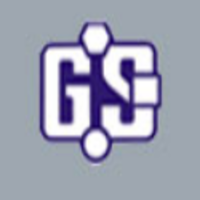Globe India logo
