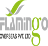 Flamingo Overseas logo