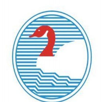 New Swan logo