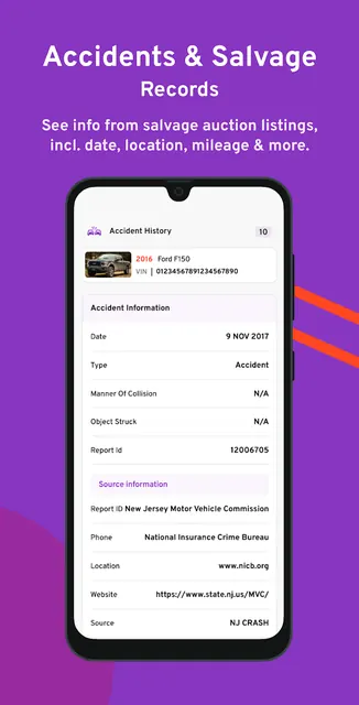 Bumper Vehicle History Reports screenshot 5