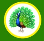 Shree Om Caars logo