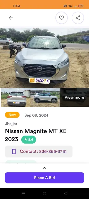 BiddrX screenshot 2