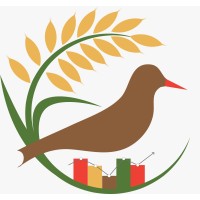 Titodi logo