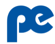 Parasrampuria Engineers logo