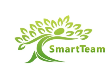 SmartTeam Fintech logo