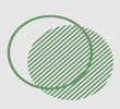 Fibbl logo