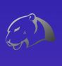 Jaguar Software India logo