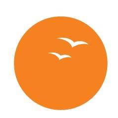 Suryoday logo