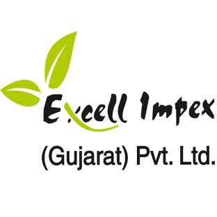 Excell Impex logo