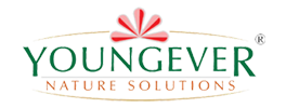 YOUNGEVER logo