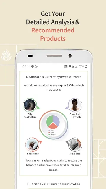 Vedix screenshot 2