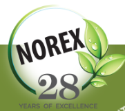 Norex logo