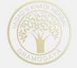 Vagad's Khadi logo