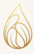Ark by Shivani logo