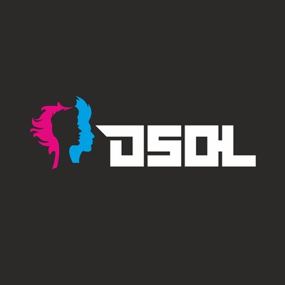 DSOL Salon Software logo