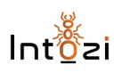 Intozi logo
