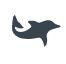 SynctacticAI logo